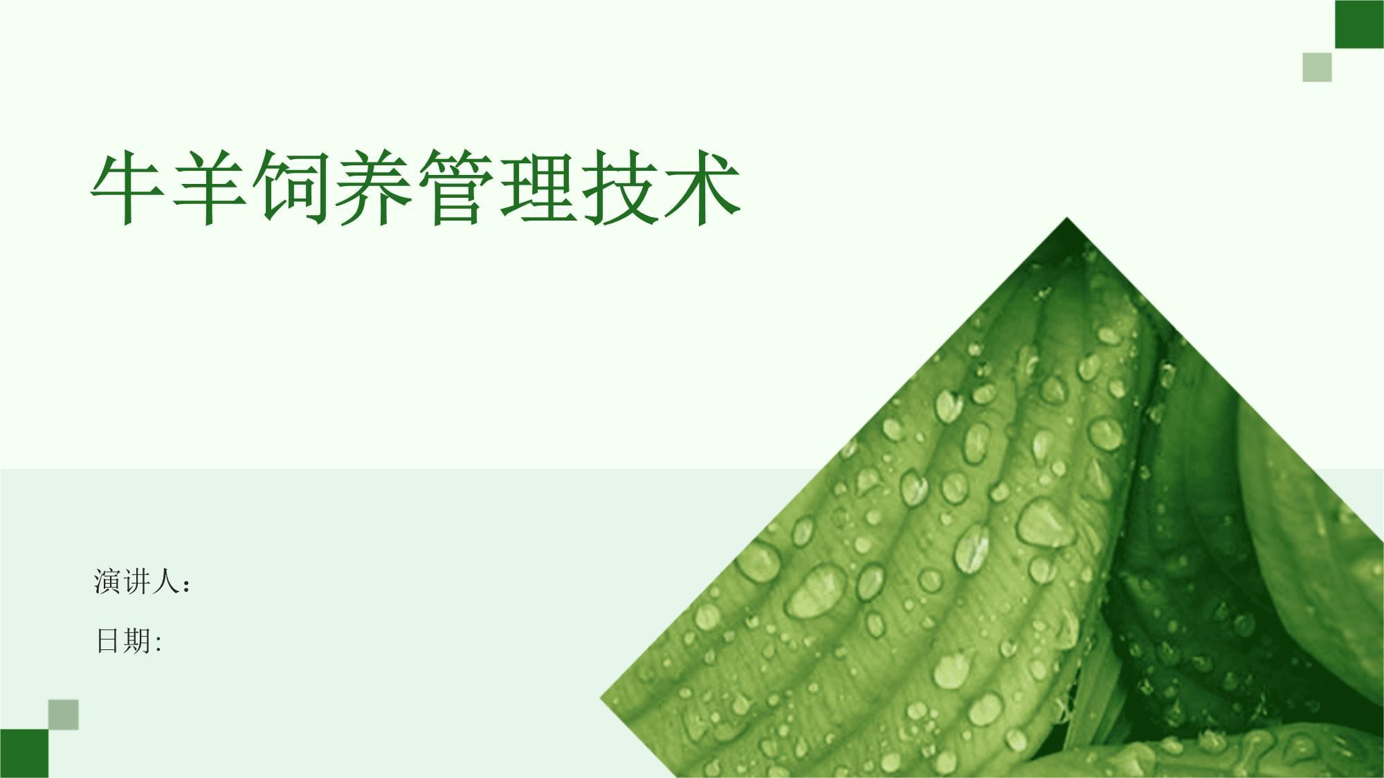 现代牛羊饲养管理技术要点与实践路径