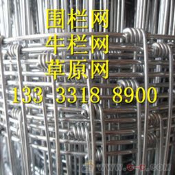 养牛羊与草原围栏网 现代化养殖的关键之道
